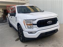 فۆرد F-150